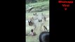 Whatsapp Viral V - Indian Viral Video - Indian Desi Viral