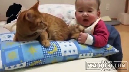 Babies annoying cats – Funny baby   cat compilation 2018