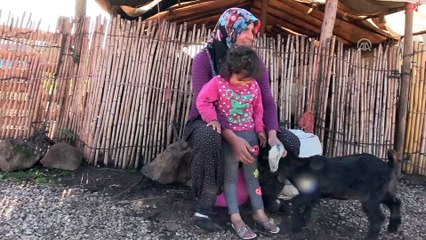 Sınır hattında Yörük kültürünü yaşatıyorlar - HATAY