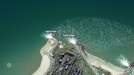 Adrénaline - Surf : Super Bank