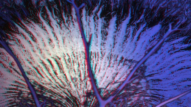 Rein, le filtre de vie (Version 3D)