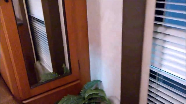 США, Юта, Американские Дома на колесах, трейлер, Автодом шоу. Обзор с ценами.