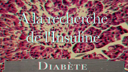 Diabète, à la recherche de l'insuline (Version 3D)