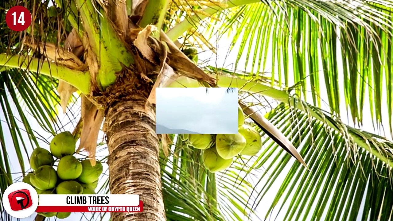 16 Fun Things to Do Stranded on a Deserted Island