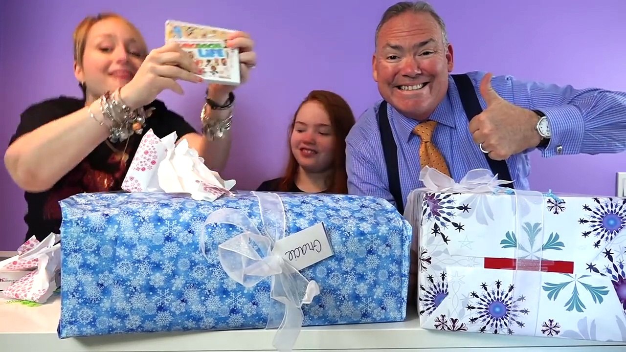 Toy Surprise Gifts from The Toy Insider 10th Annual Holiday Gift Guides video Dailymotion