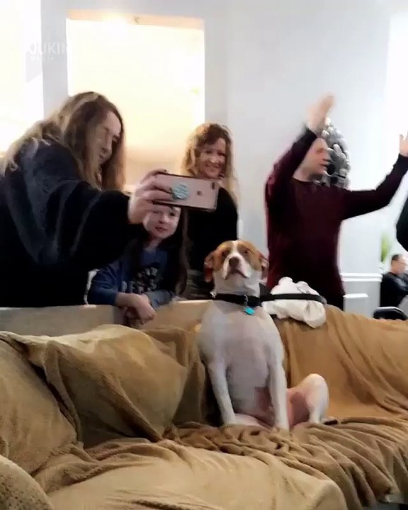 When your friends want to take a selfie at a pa...