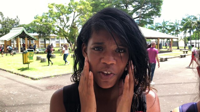 La carte des langues présentée par le collège de Mille Roches