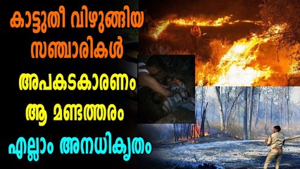 മീശപുലിമലയിലെ അപകടകാരണം ഇത്, രക്ഷാപ്രവർത്തനത്തിലും പിഴവ് | Oneindia Malayalam