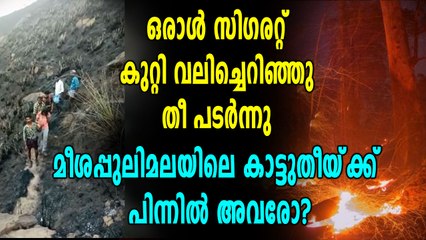 തേനിയിലെ കാട്ടുതീക്ക് കാരണം സിഗരറ്റ് വലിച്ചിട്ടതോ?? | Oneindia Malayalam