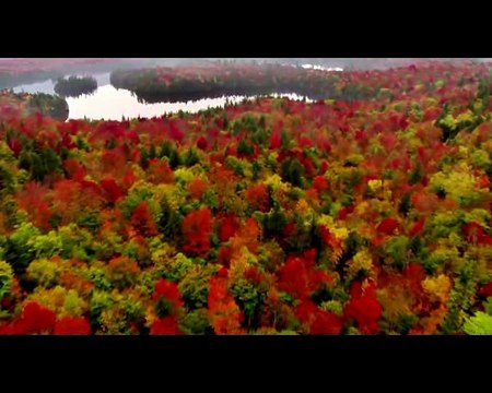 Shaheen _ Allama Iqbal _ Urdu Ghazal _ Sad Poetry _ Love Poetry