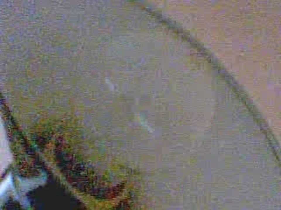 Webcam 1196436422781