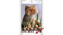 Подробный обзор iOS 10 для iPhone и iPad: новые функции и совместимость | Яблык