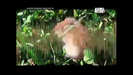 super sense documentry part 1