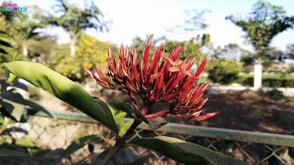 Redmi Note 5 Pro Unboxing and Full Review