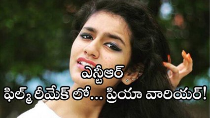 రణవీర్ సింగ్ తో రొమాన్స్ చెయ్యబోతున్న ప్రియా వారియర్