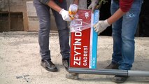 İstanbul Büyükşehir Belediyesi ‘Zeytin Dalı Caddesi’ tabelalarını astı