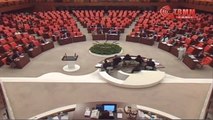 TBMM'de Afrin Gerginliği-2