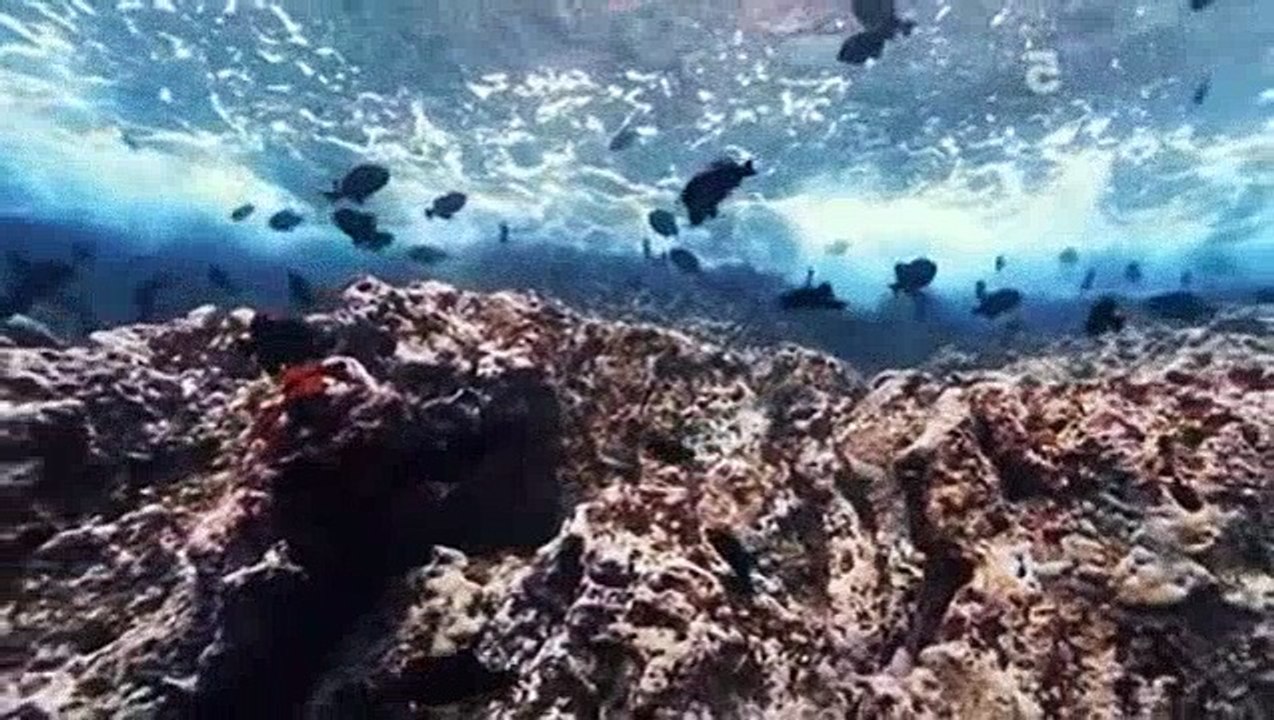 Extreme Fishing with Robson Green S05 E02 Patagonia Dailymotion Video