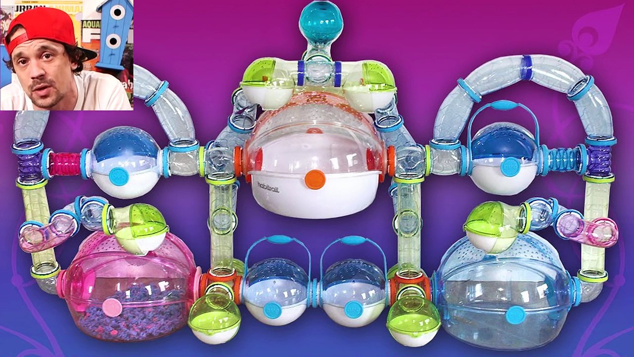 UN HAMSTER NAIN CEST TROP BIEN !! - TUTO TOOPET