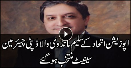 Opposition alliance candidate Saleem Mandviwala elected as deputy chairman Senate