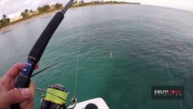 Fishing for Blacktip Sharks during the Migration - ft. LakeForkGuy