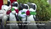 Christmas penguins parade around Japanese amusement park