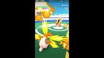 Pokémon GO Gym Battles 3 Gym takeovers Igglybuff Cleffa Smoochum Elekid Magby Pichu & more