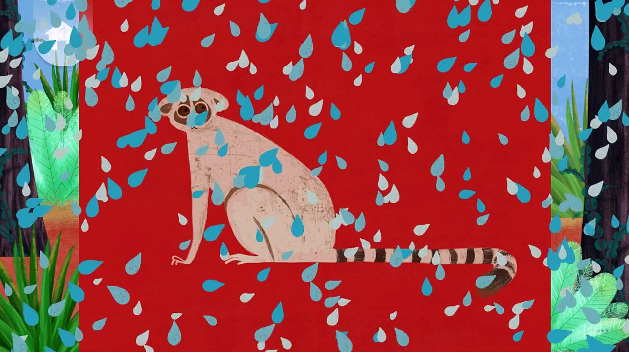 Fun Baby Learn & Play Animal Match Up Learn Animal Names With Real Animals | Fun Kids Baby Game