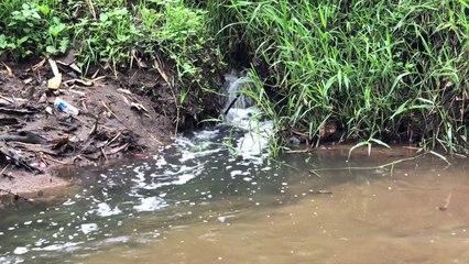 اندونيسيا أمام تحد هائل لتنظيف أكثر أنهر العالم تلوثا