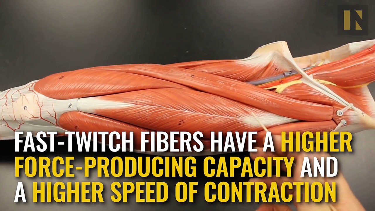 Bad Bob Munden is the Fastest Gun Slinger in History