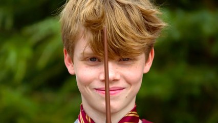 Fantastic Beasts: The Crimes of Grindelwald - Official Trailer Tease