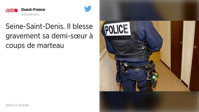 Seine-Saint-Denis. Il blesse gravement sa demi-sœur à coups de marteau.