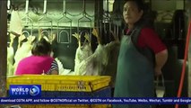 Bird flu in China: Zhejiang Province halts live poultry trade
