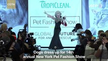 Pet Fashion Show kicks off alongside NY Fashion Week