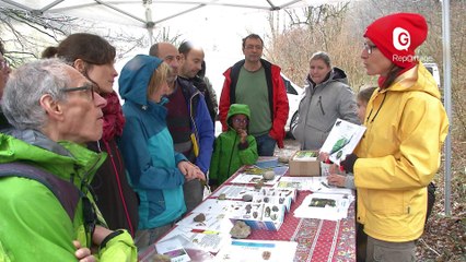 Reportage - Le Marais de la Teissonnière, un espace naturel sensible