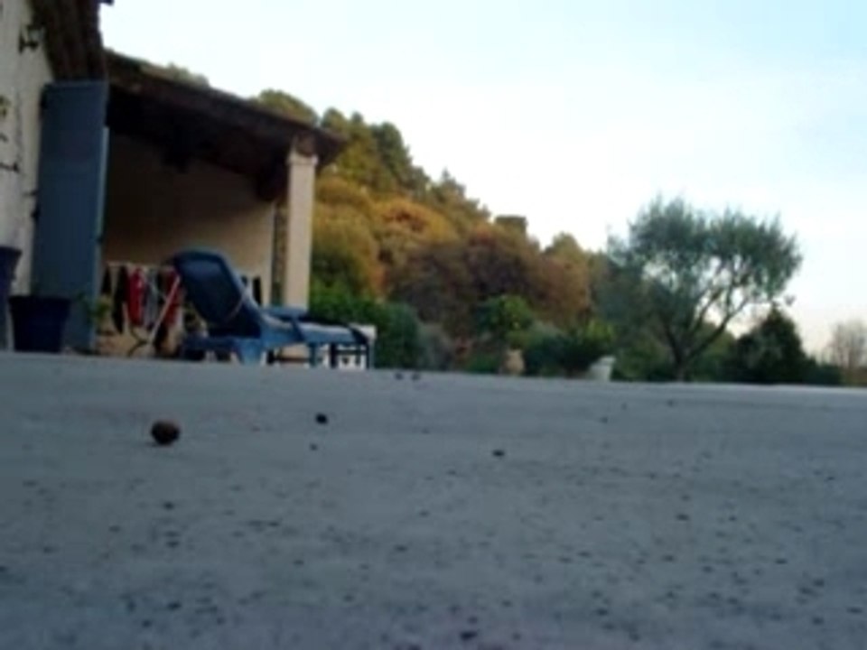 Nolie_bigspin-back