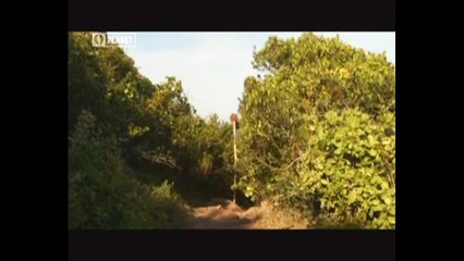 Afrika e Jugut - Dokumentar Shqip