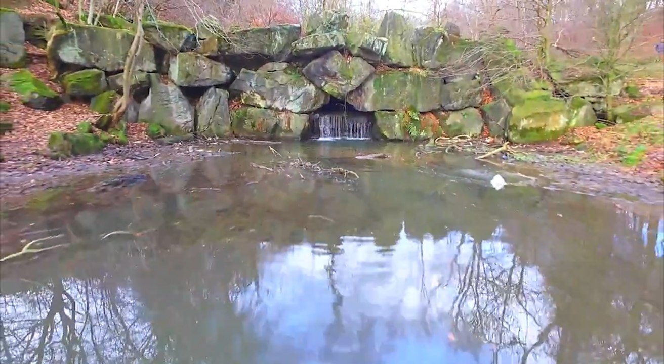 Bierley Woods and Ponds