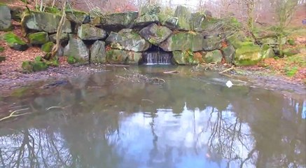 Bierley Woods and Ponds
