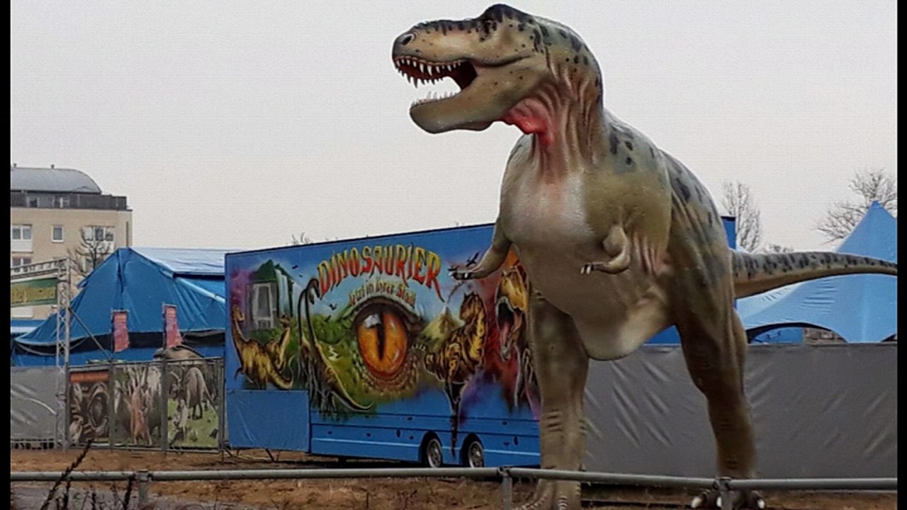 Tipp: "dinowelt in hohenschönhausen"