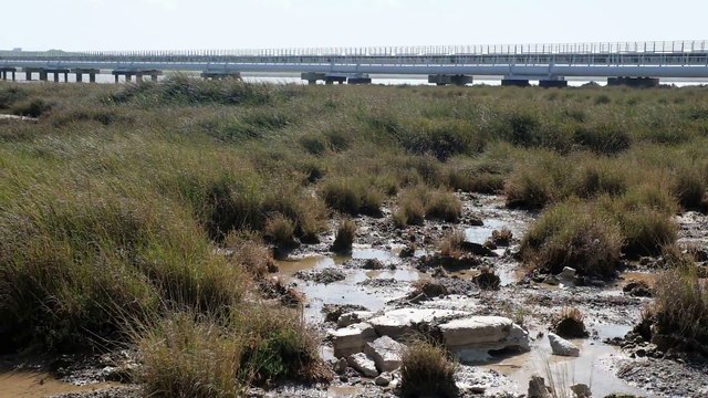 Tóxicos, peligrosos y radiactivos Greenpeace y Mesa de la Ría vertidos a la ría de Huelva