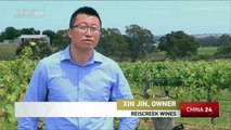 China's increasing appetite for Western wines made it Australia's number one wine export market