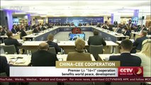 Chinese Premier Li Keqiang says China and CEE  together can  make the world a better place