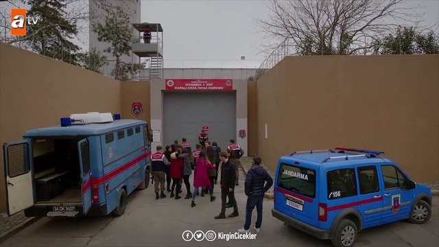 Kızlar ceza evinde ne yapacak? - Kırgın Çiçekler 113.Bölüm (Final)