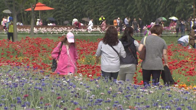 울산, 관광객 천 만 시대 시대 연다 / YTN
