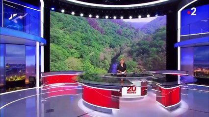 Espagne : le reboisement intensif fait polémique