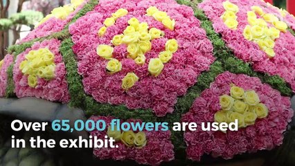 The Bellagio Garden has bloomed into a Japanese spring