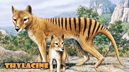 Top 10 Most Amazing Extinct Animals