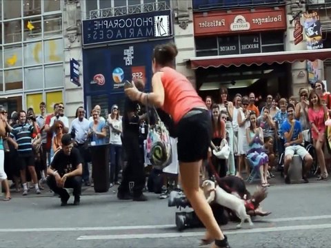 ZAP funny, fails, choc & INSOLITE - LE ZAP DE GOUG N°5