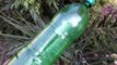 Using Plastic Bottles for Growing Plants | Plastic Bottle Planter Ideas
